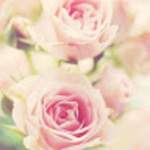 Meet your Posher, Michal